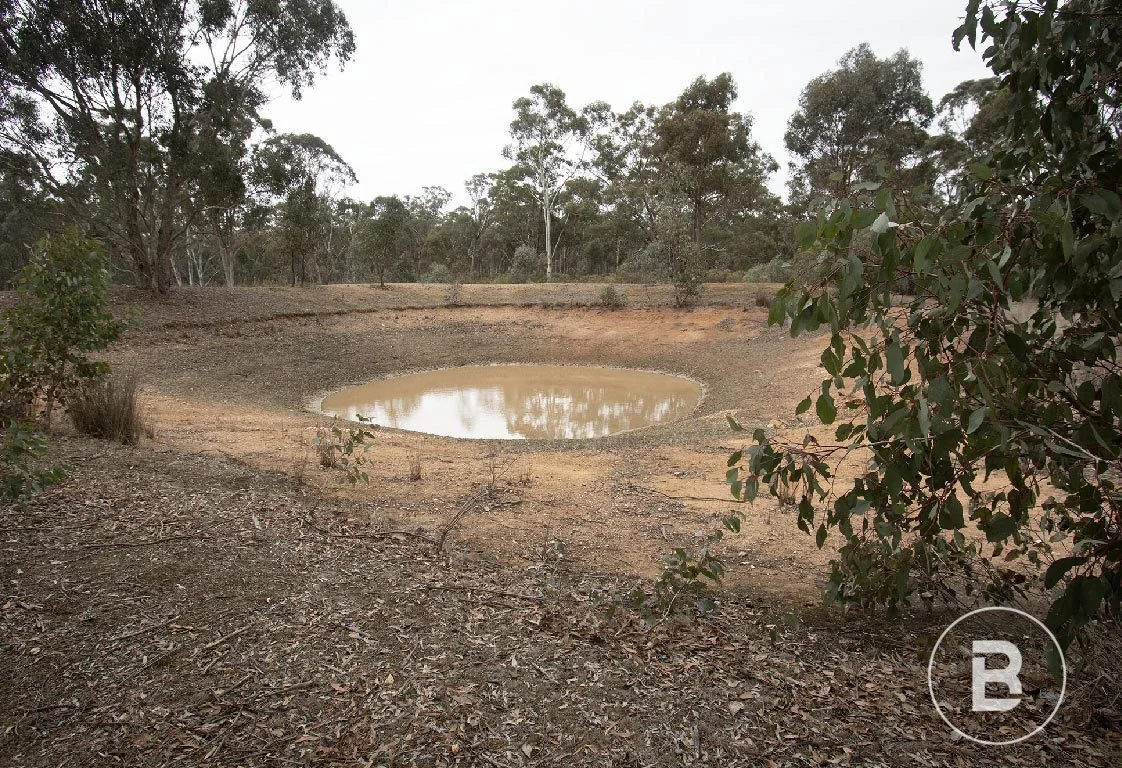 Additional image 21 of 163 Kicks Lane, Dunolly VIC 3472