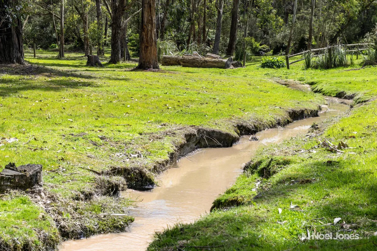 Additional image 18 of 175 Clegg Road, Mount Evelyn VIC 3796