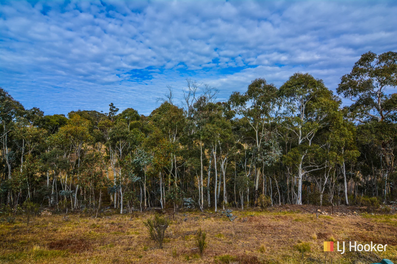 Additional image 21 of 308 Willow Vale Road, Wallerawang NSW 2845