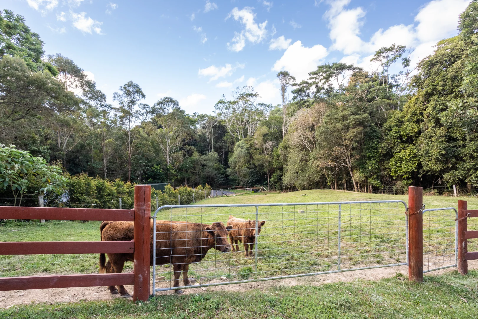 Additional image 26 of 686 Pomona Kin Kin Road, Kin Kin QLD 4571