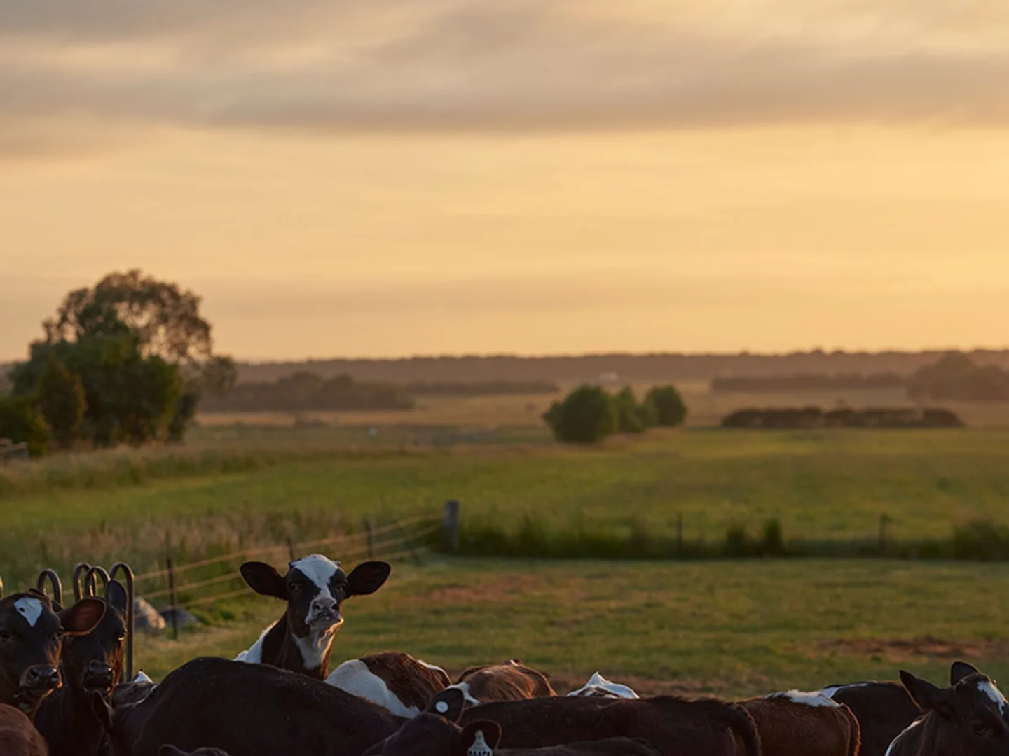 Additional image 7 of 232/2322 Hardys Road, Clyde North VIC 3978