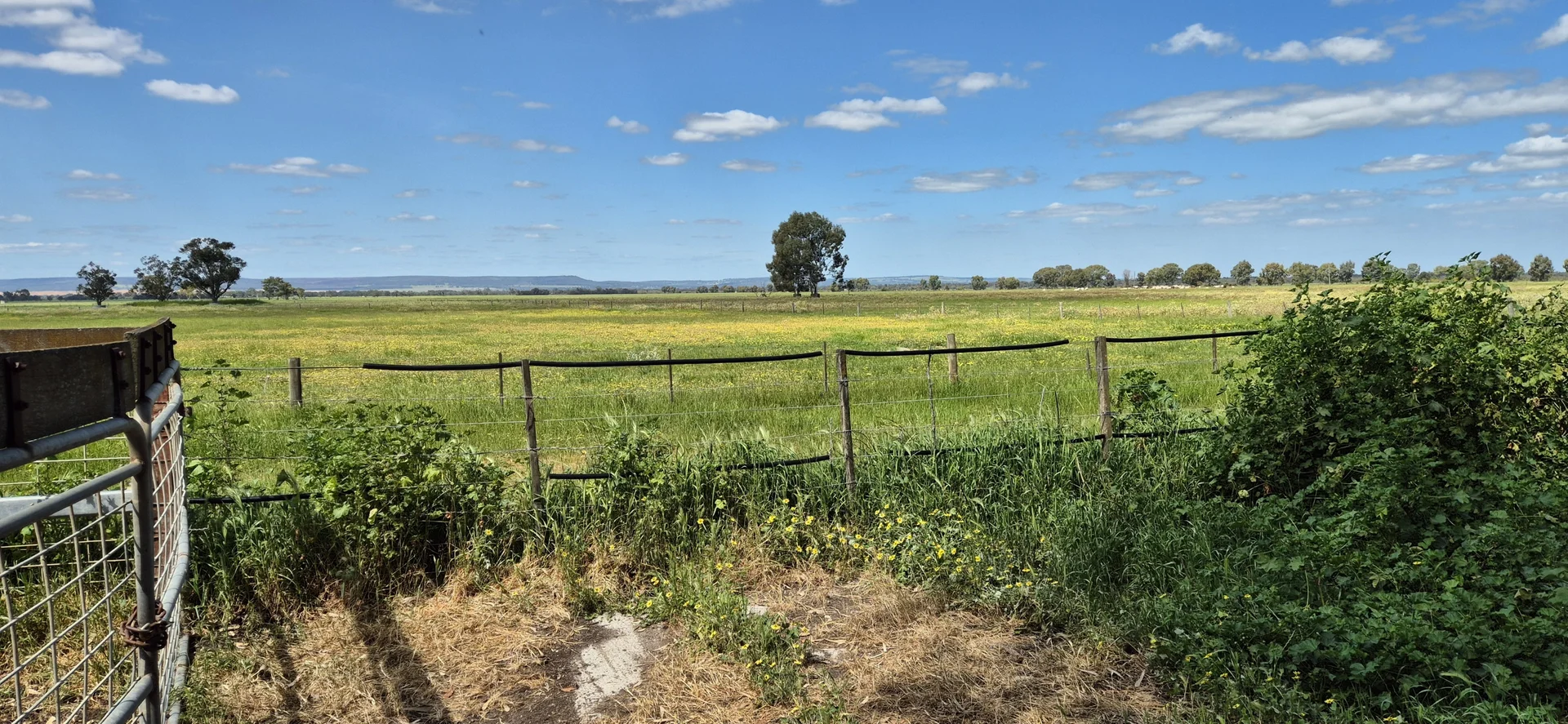 Additional image 20 of 4 Pin Pin Road, Beermullah WA 6503