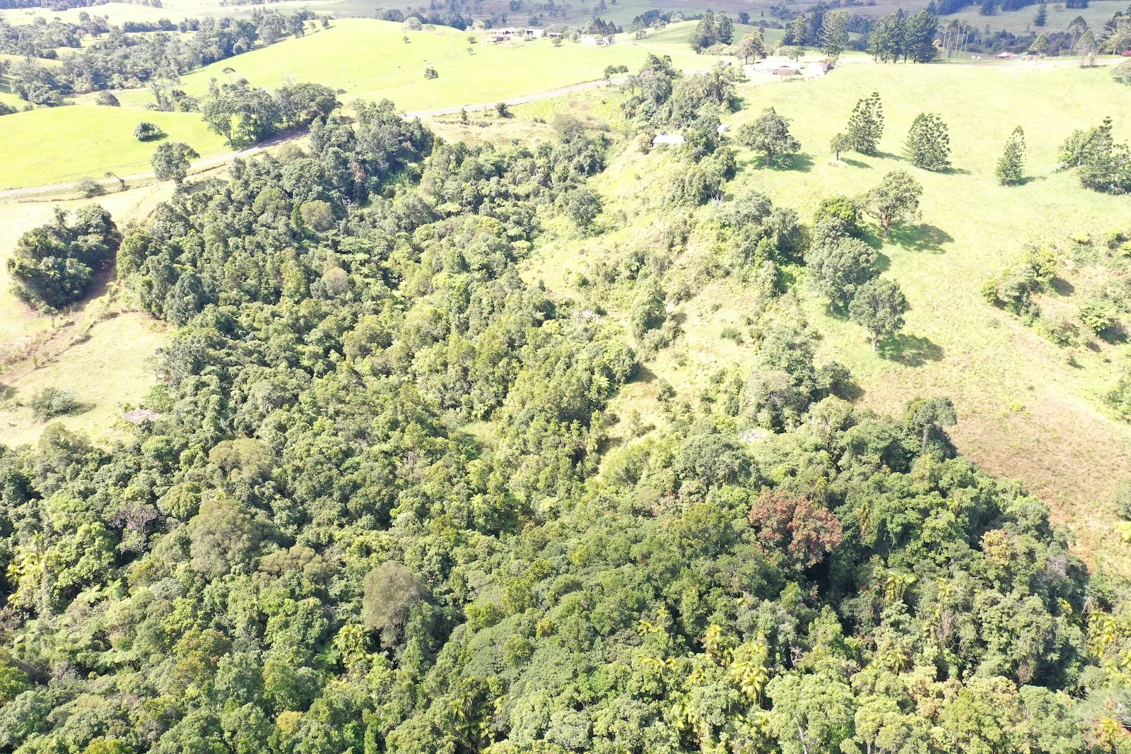 Additional image 12 of 581 Theresa Creek Road, Millaa Millaa QLD 4886