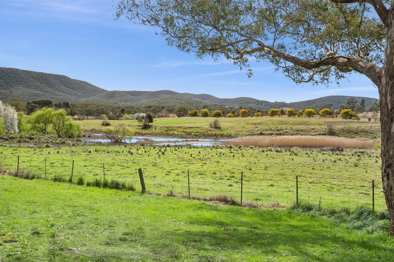 Additional image 20 of 44 Mills Road, Towrang NSW 2580