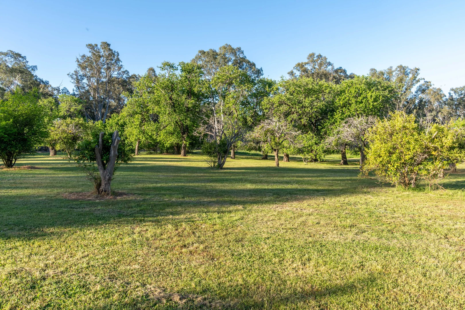 Additional image 26 of LOT 2/121 WATTLEVALE ROAD, Bailieston VIC 3608