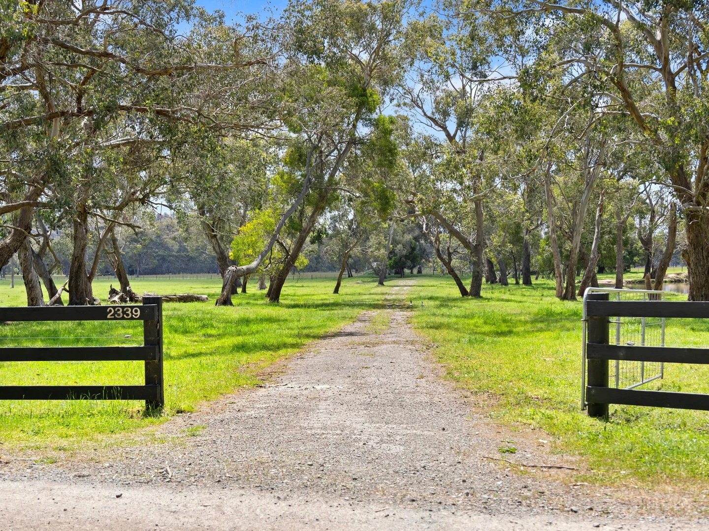 Additional image 2 of 2339 Maroondah Highway, Buxton VIC 3711