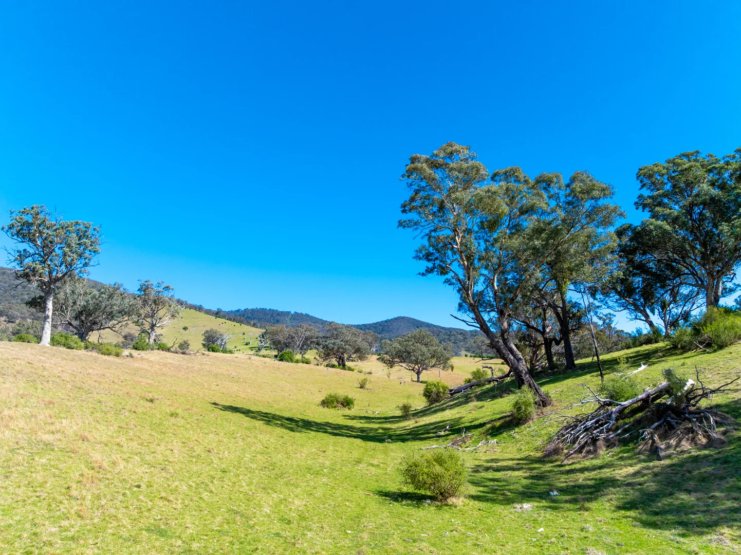 Additional image 3 of 1139 Ensay-Doctors Flat Road, Ensay VIC 3895