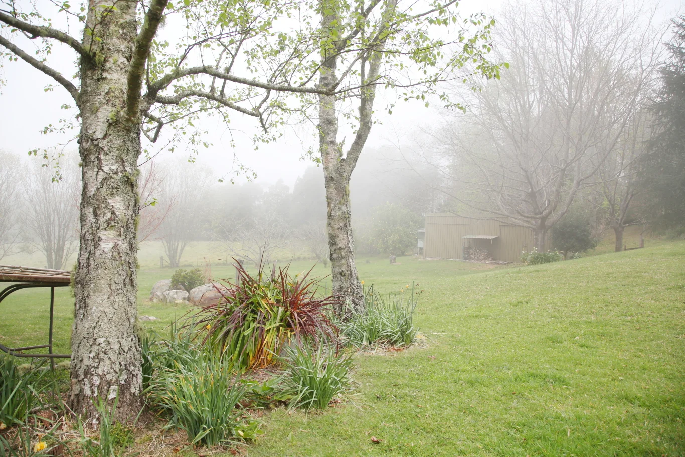 Additional image 32 of 499C Tourist Road, Bellawongarah NSW 2535