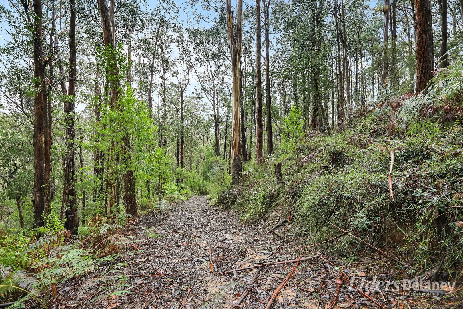 Additional image 18 of 134 Duggan North Road, Fumina VIC 3825