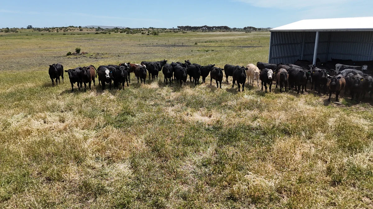 Additional image 7 of 205 South Cundare Road, Beeac VIC 3251