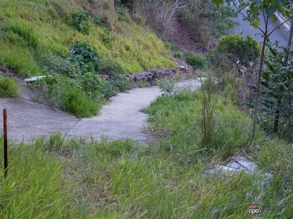 Additional image 4 of 3228 Rossville Bloomfield Road, Bloomfield QLD 4895