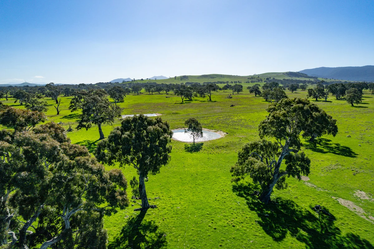 Additional image 7 of 102 Hillman Road, Middle Creek VIC 3375