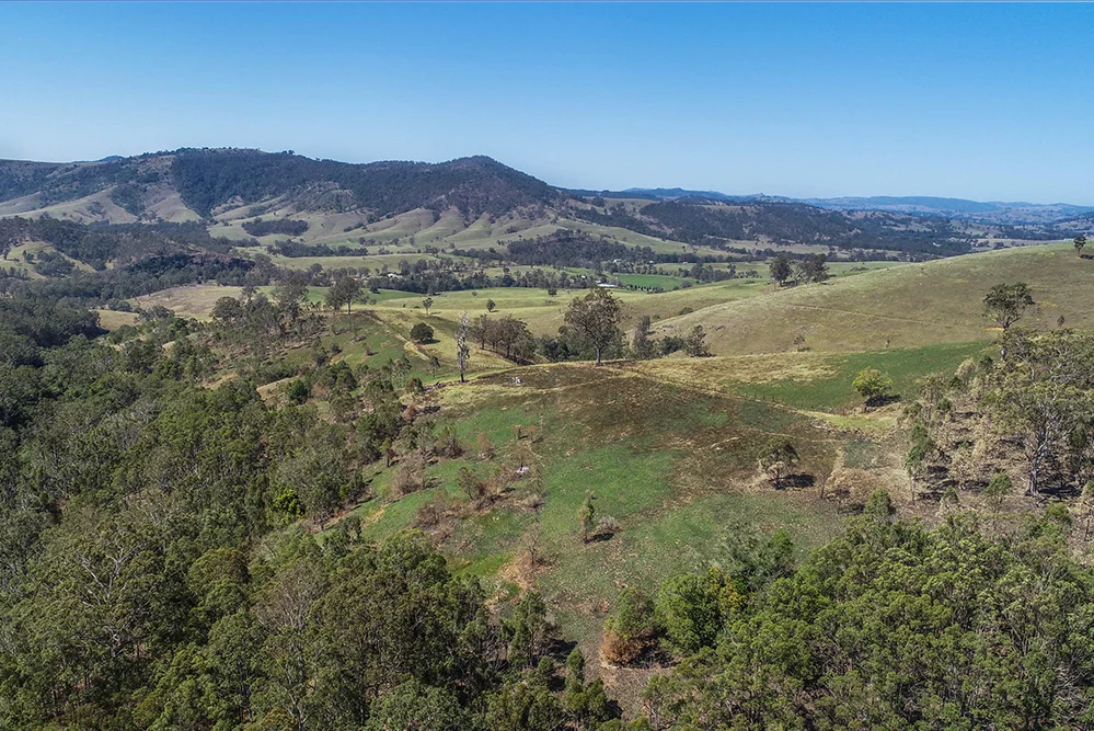 Additional image 7 of Lot A, 25 & 109 Allyn River Road, Halton NSW 2311