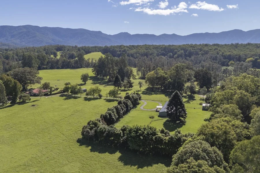 Additional image 17 of 1596 Waterfall Way, Bellingen NSW 2454