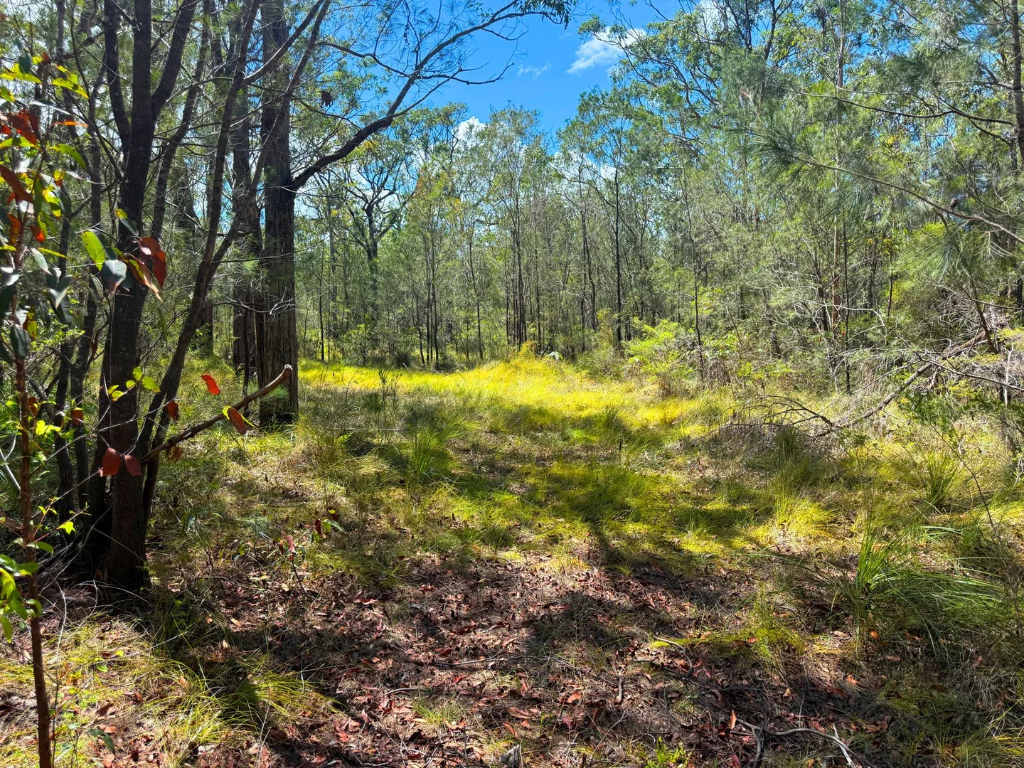 Additional image 3 of Lot 315 Glen Innes Road, North Arm Cove NSW 2324