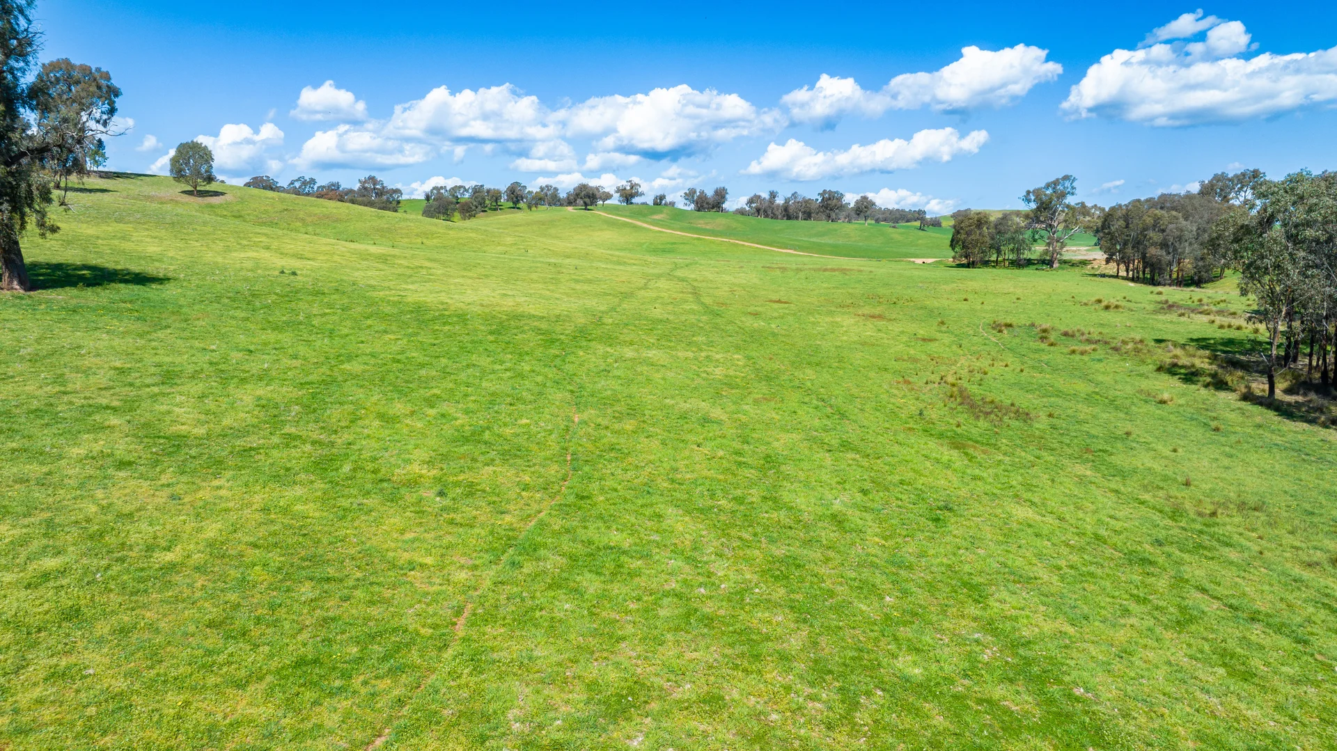 Additional image 8 of 13759 Hume Highway, Mullengandra NSW 2644