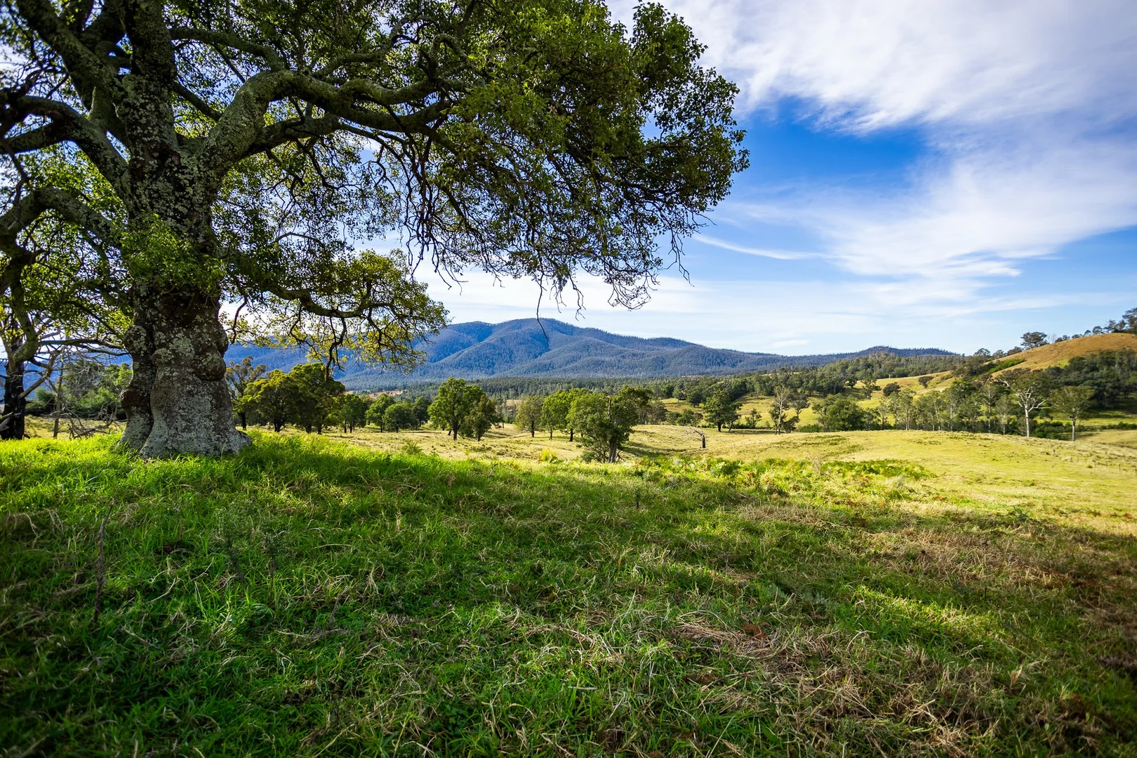 Additional image 20 of Lot 63 Watts Road, Cobargo NSW 2550