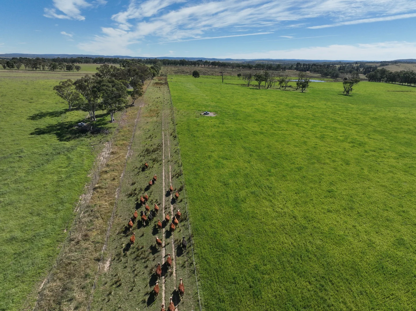 Additional image 24 of 710 Inverary Road, Paddys River NSW 2577