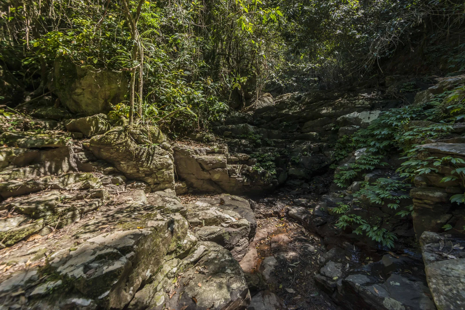 Additional image 16 of 76 Maso Road, Repentance Creek NSW 2480