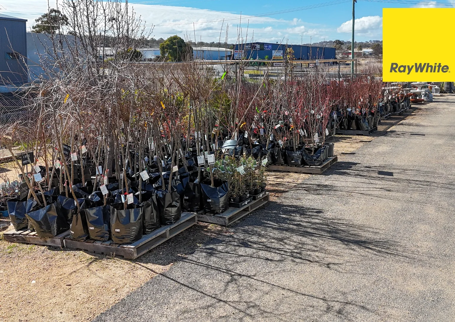 Additional image 4 of 160 Evans Street, Inverell NSW 2360