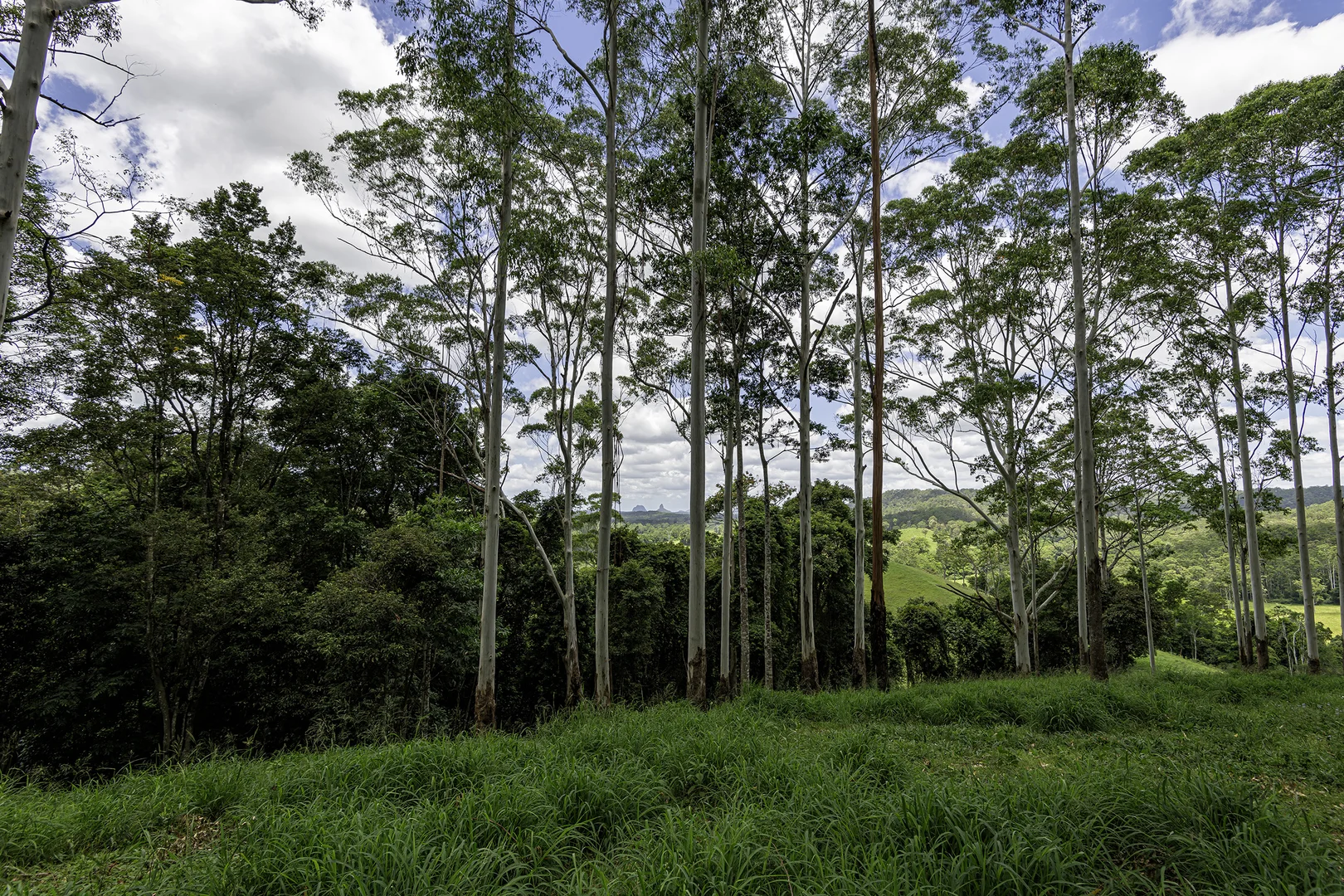 Additional image 43 of 492 River Road, Peachester QLD 4519
