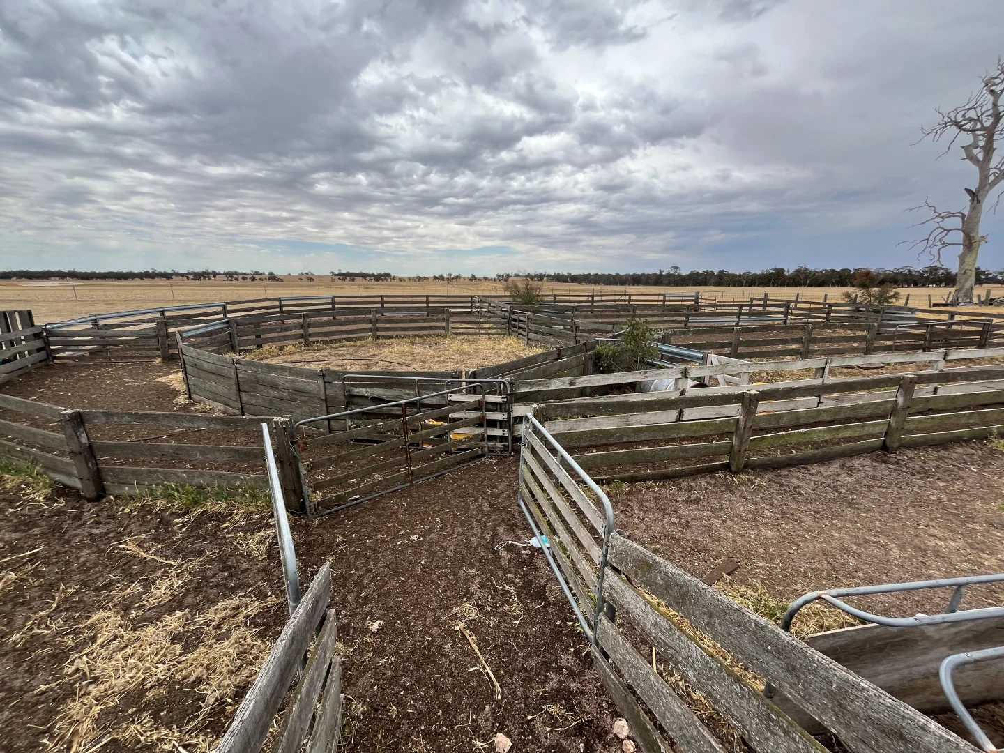 Additional image 8 of 81 Mosgiel Road, Tenterden WA 6322