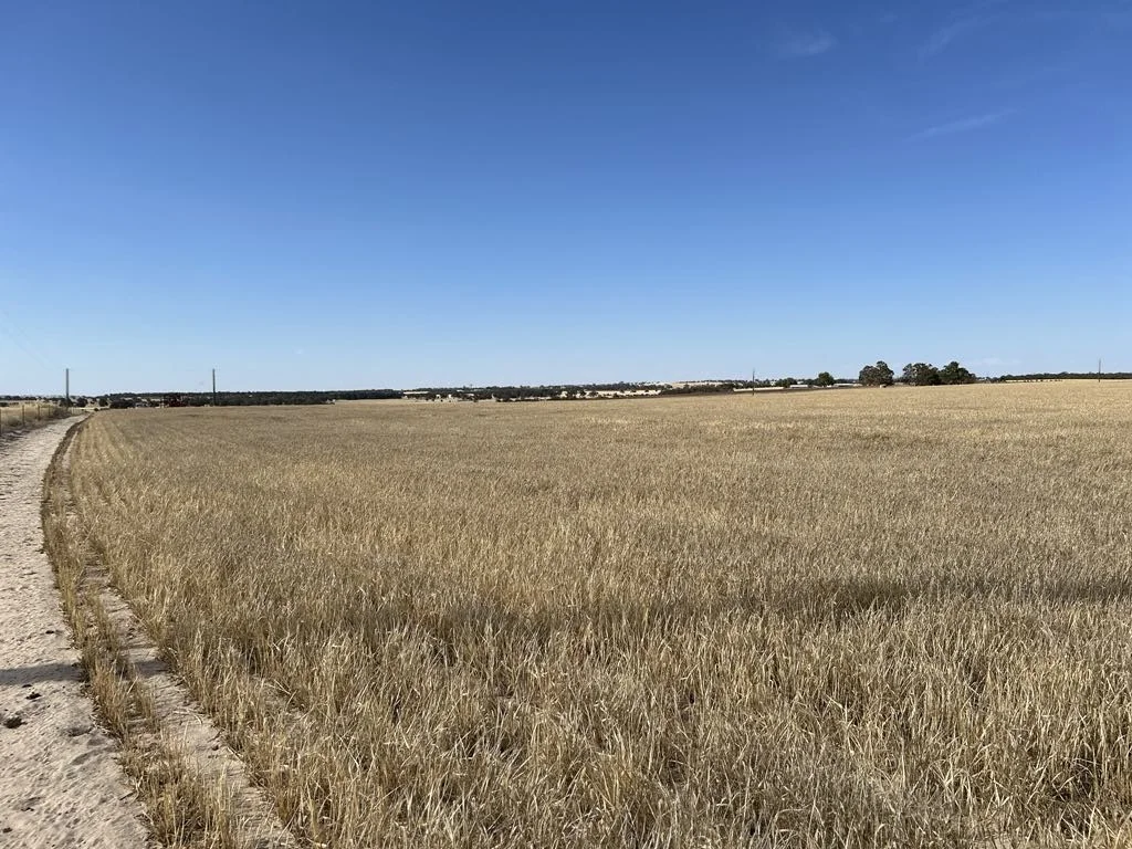 Additional image 3 of Lot 1 Maitland Rd, Kokeby WA 6304