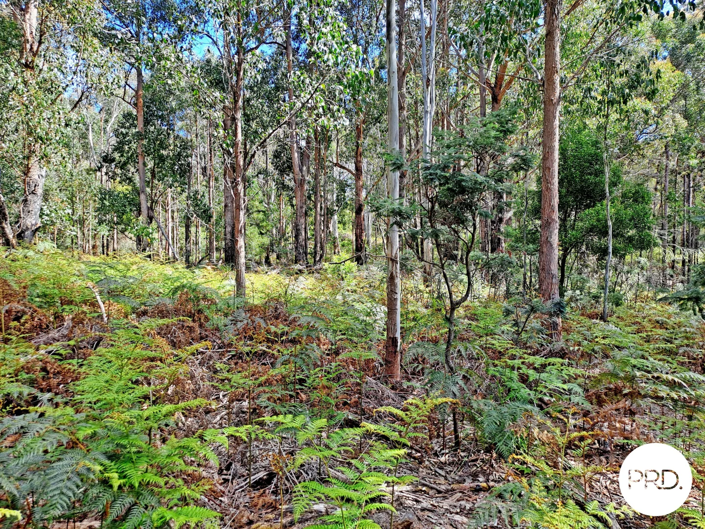 Additional image 7 of Lot 1 Ellendale Road, Ellendale TAS 7140