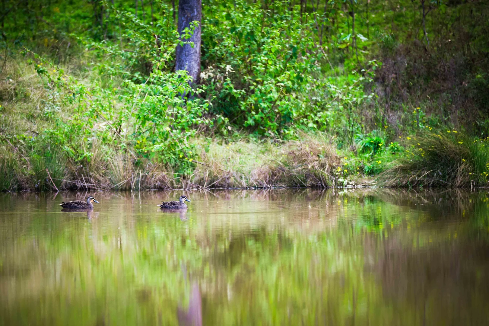 Additional image 48 of 159 Donalds Range Road, Razorback NSW 2571