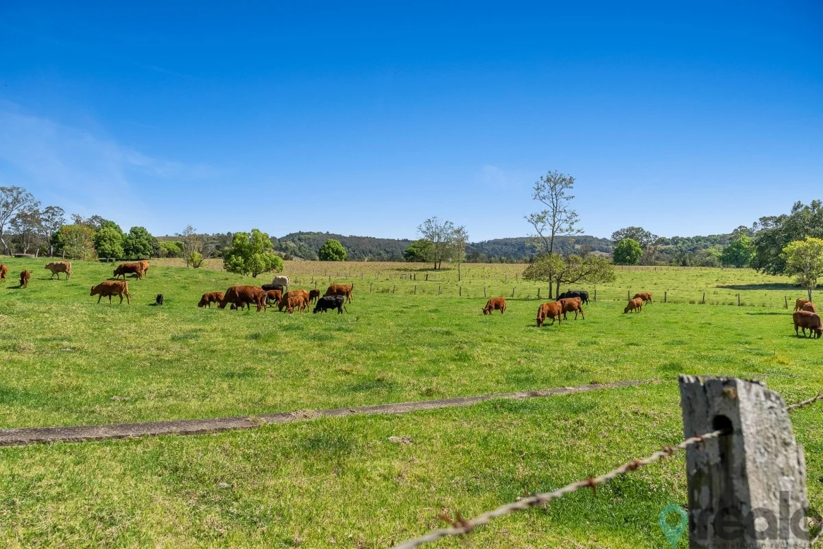 Additional image 20 of 20 Charlton Avenue, South Lismore NSW 2480