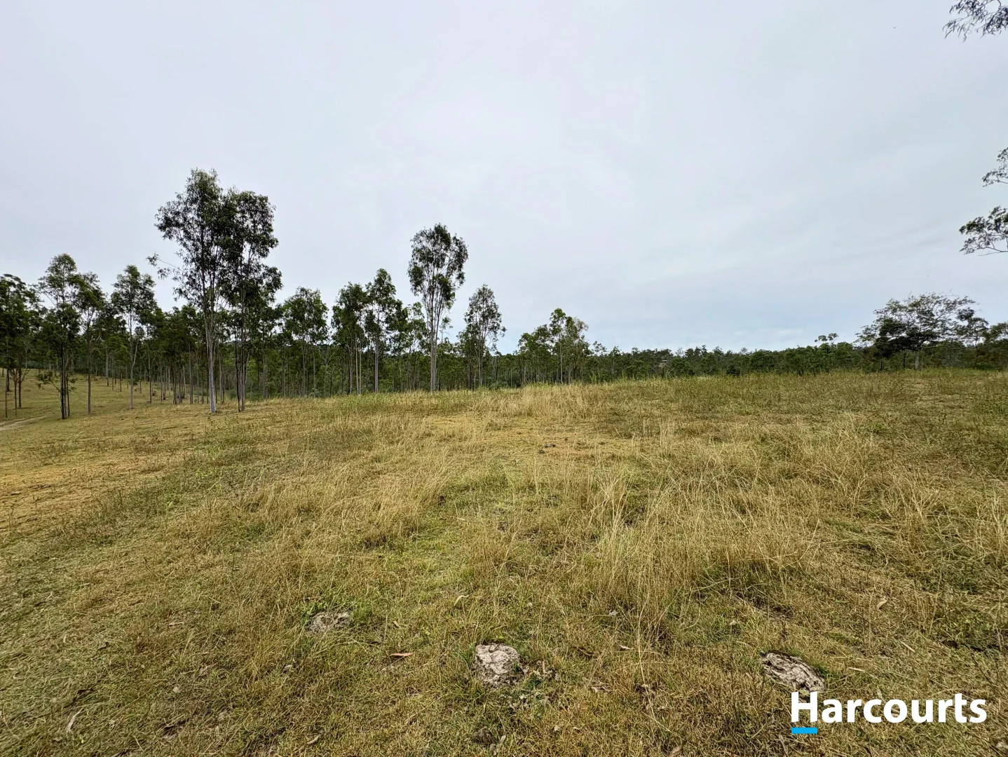 Additional image 17 of Lot 38 TENNINGERING ROAD, Good Night QLD 4671