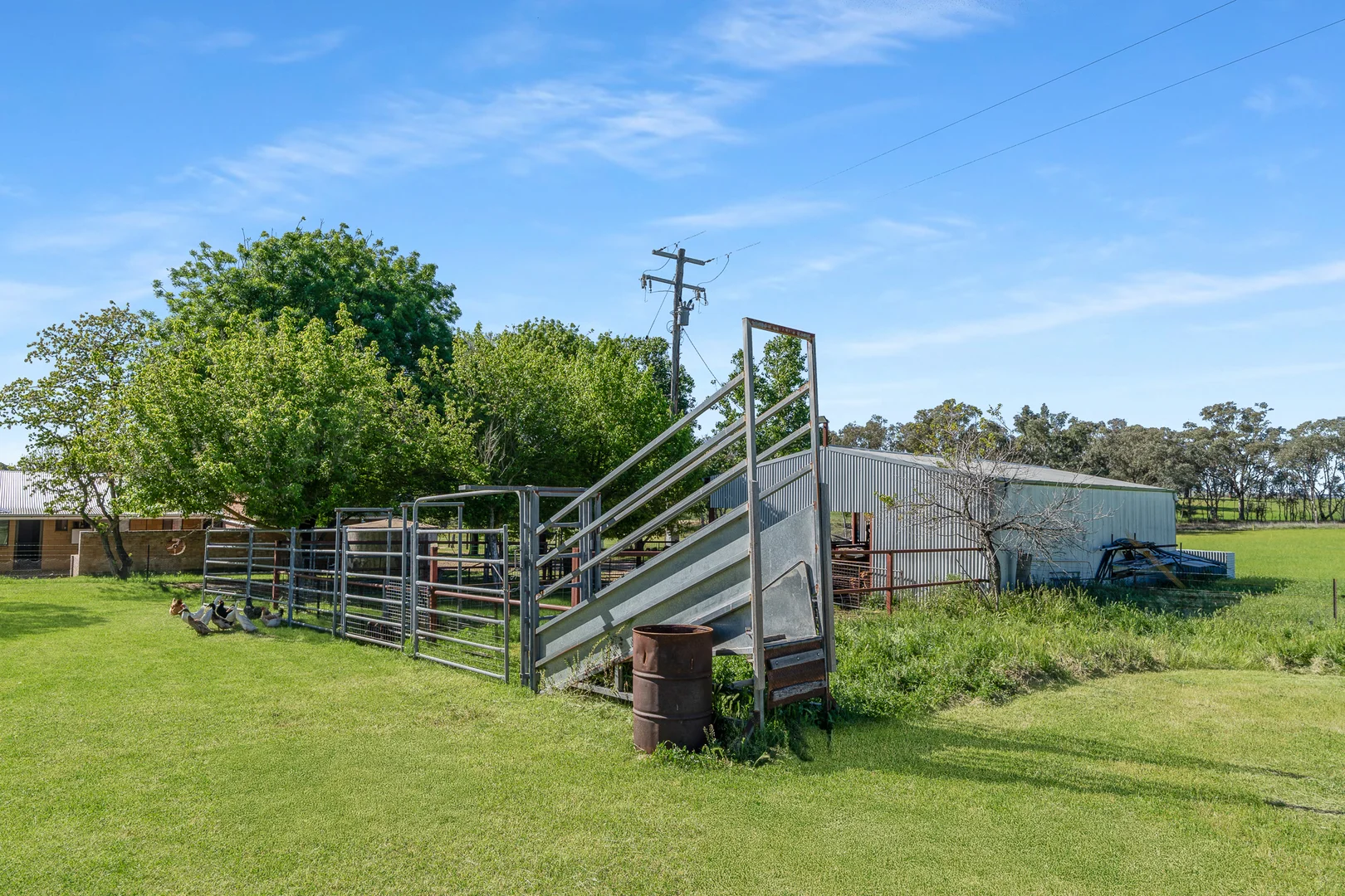 Additional image 20 of 338 Baldry Road, Cumnock via, Molong NSW 2866