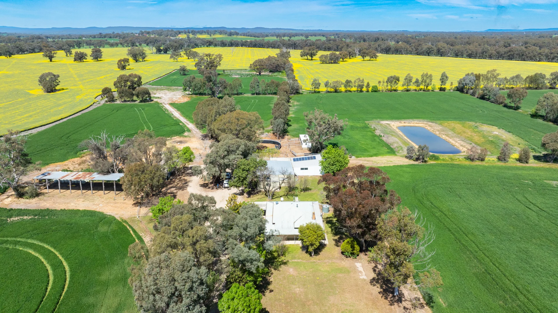 Additional image 17 of 106 Cornishtown Road, Rutherglen VIC 3685