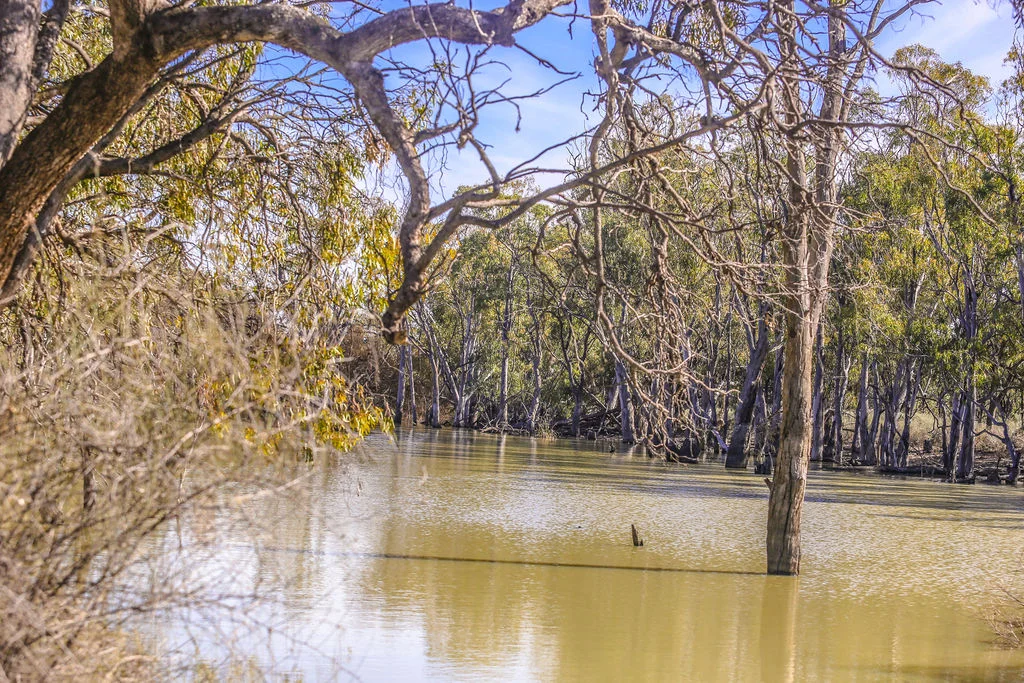 Additional image 21 of 'Wetuppa' 245 Fisher Lane, Wetuppa NSW 2734