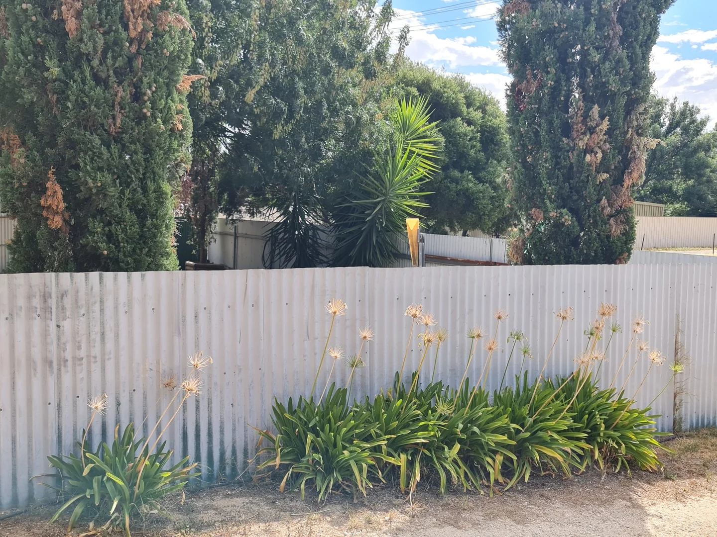 Additional image 33 of 20 William Street, Berrigan NSW 2712