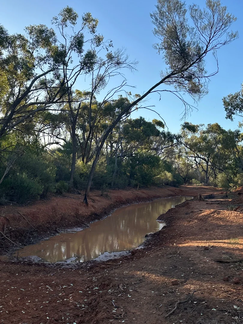 Additional image 2 of 1 Ben Lomond Road, Gunderbooka NSW 2840