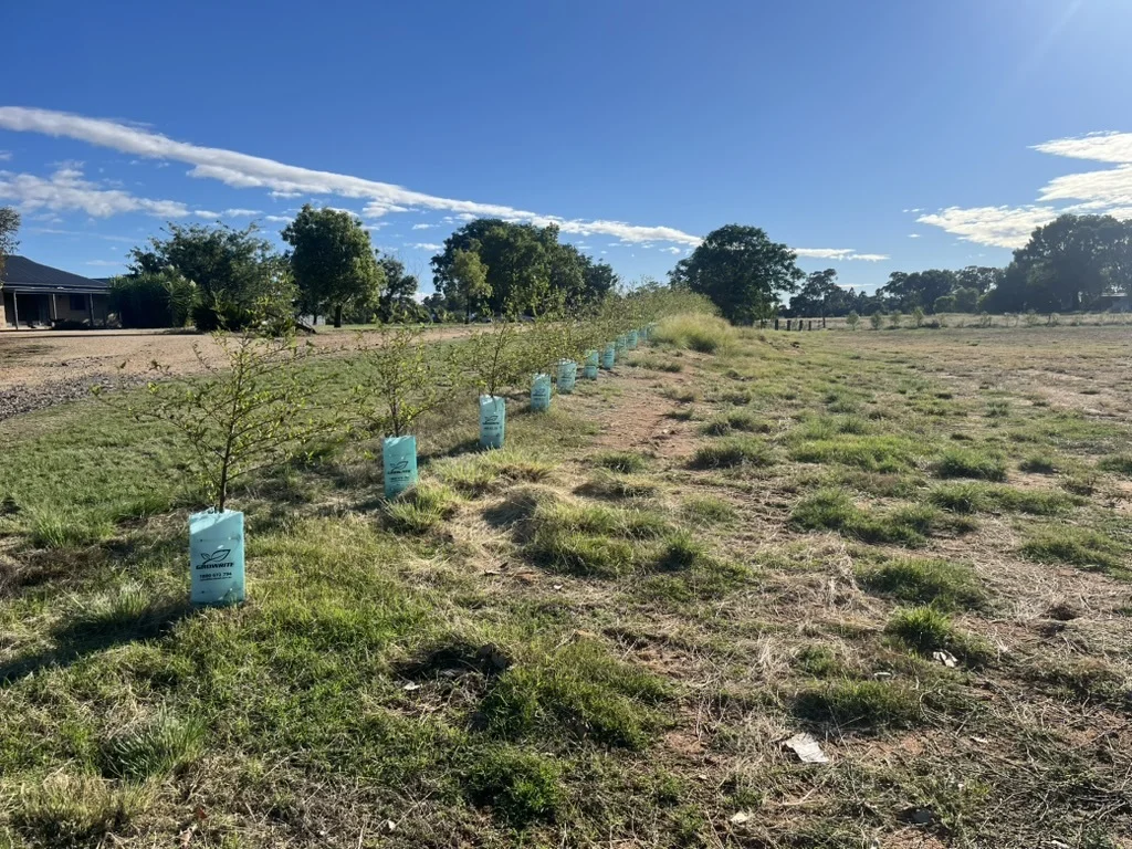 Additional image 4 of 22 Takari, Barooga NSW 3644