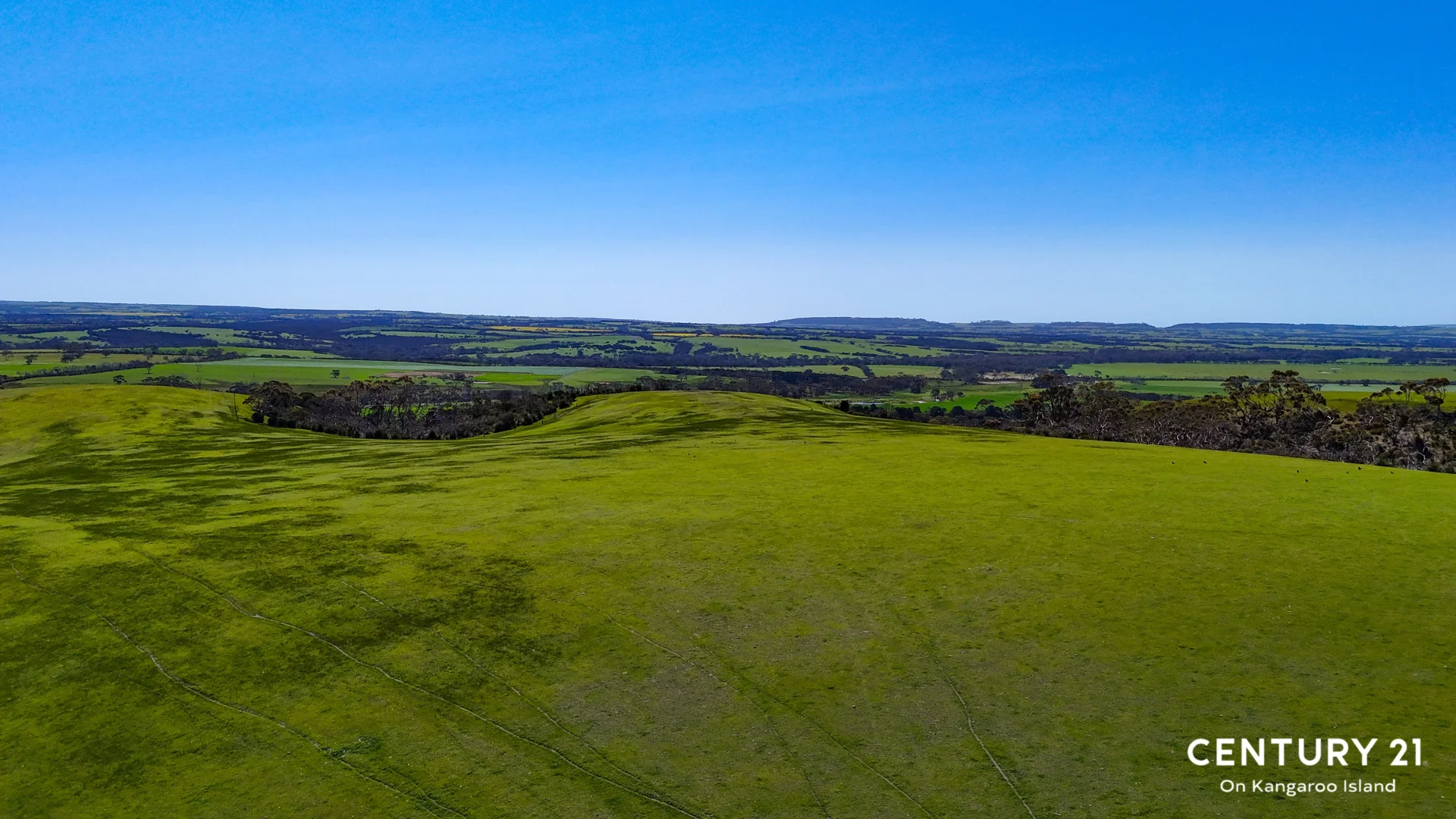 Additional image 16 of 2265 Playford Highway, Kohinoor SA 5223