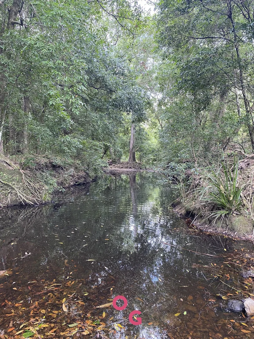 Additional image 30 of 136 Limeburners Creek Road, Limeburners Creek NSW 2324