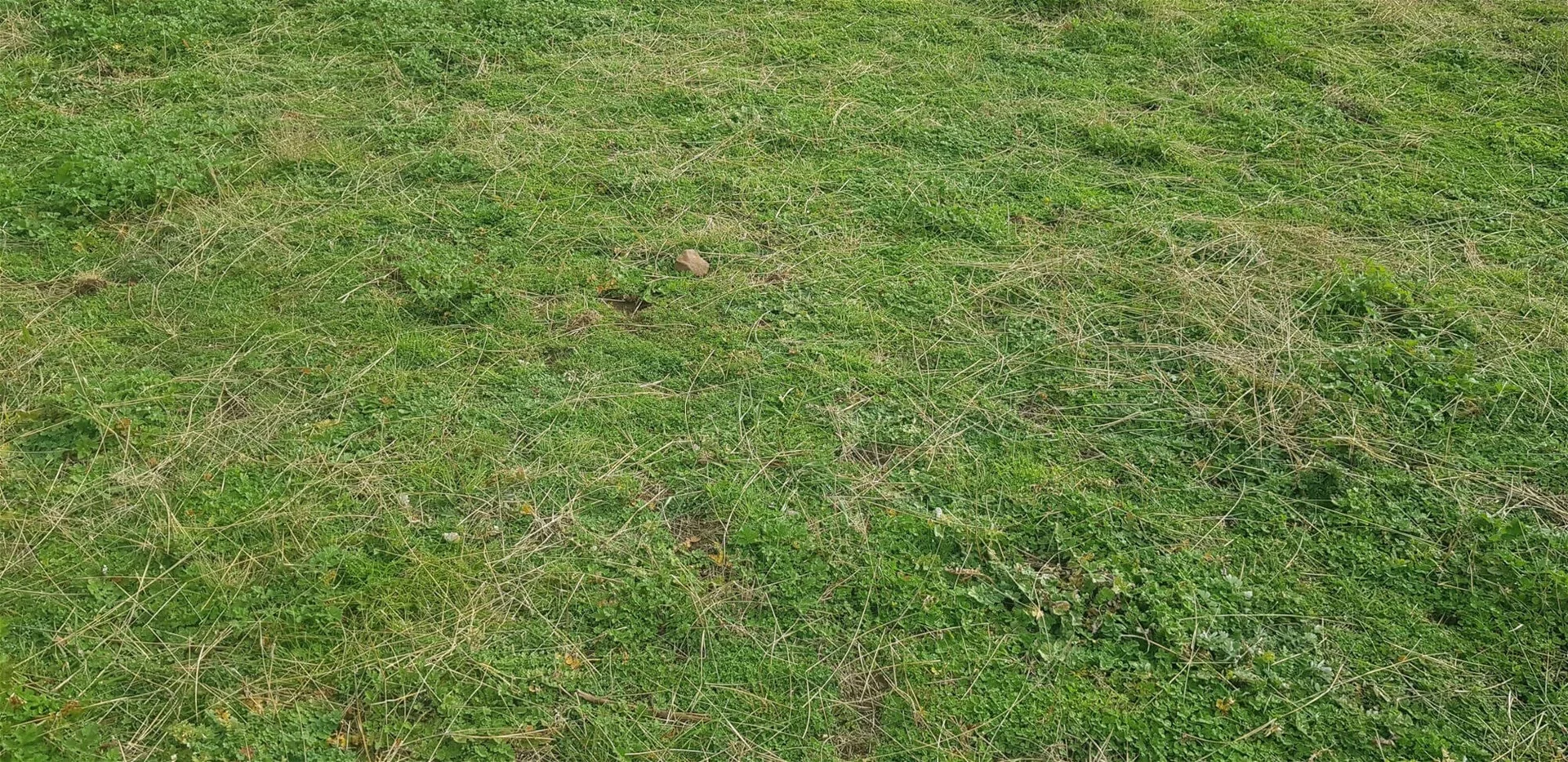 Additional image 9 of 655 Monaghans Rd, Manildra NSW 2865