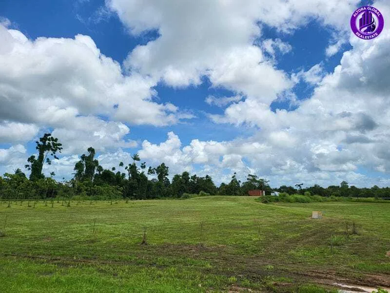 Additional image 10 of 9 Andy Sorbello Road, Silky Oak QLD 4854