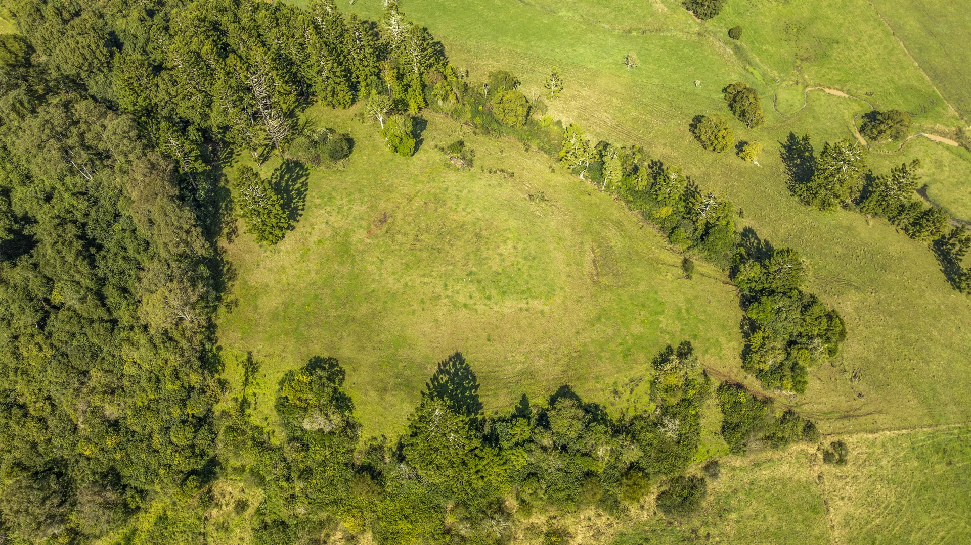 Additional image 11 of 27A Paradise Court, McLeans Ridges NSW 2480