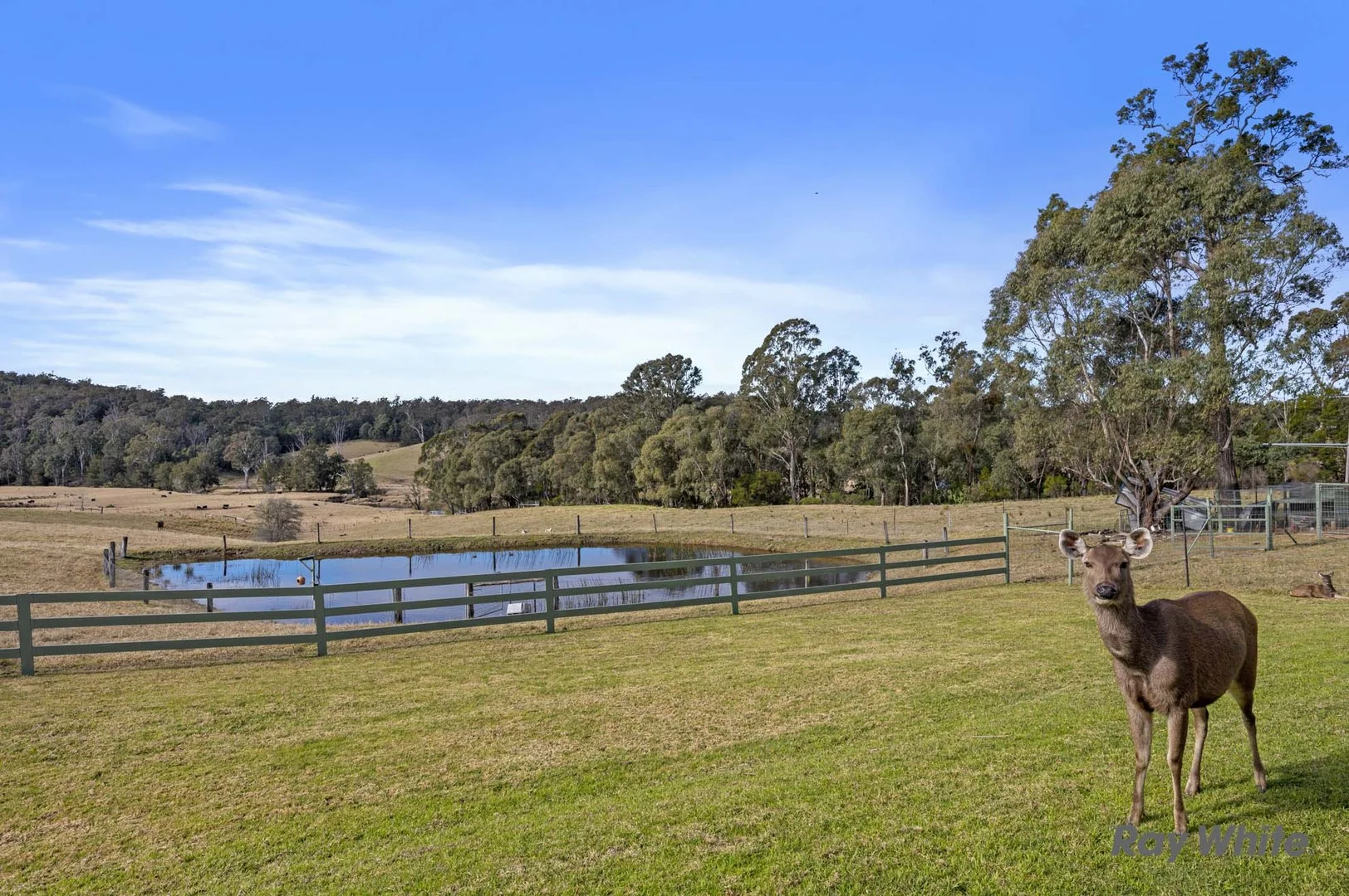 Additional image 29 of 235 Wamban Road, Moruya NSW 2537
