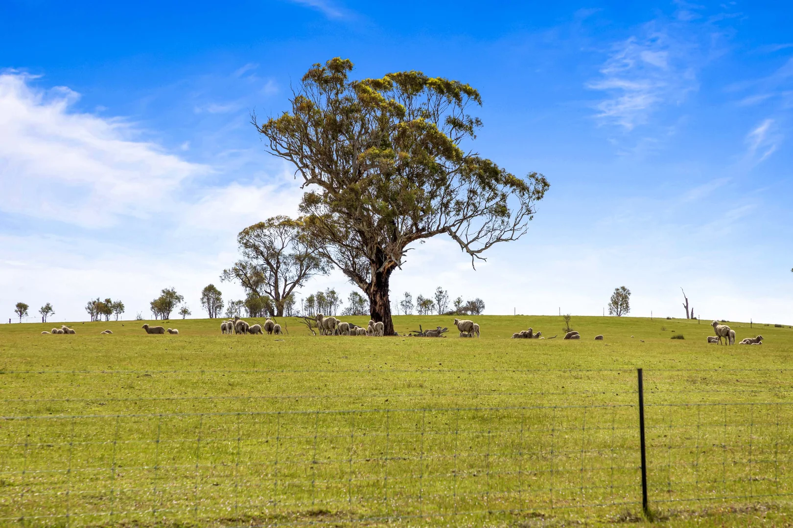 Additional image 4 of 140 Pearce Road, Campbells Bridge VIC 3387