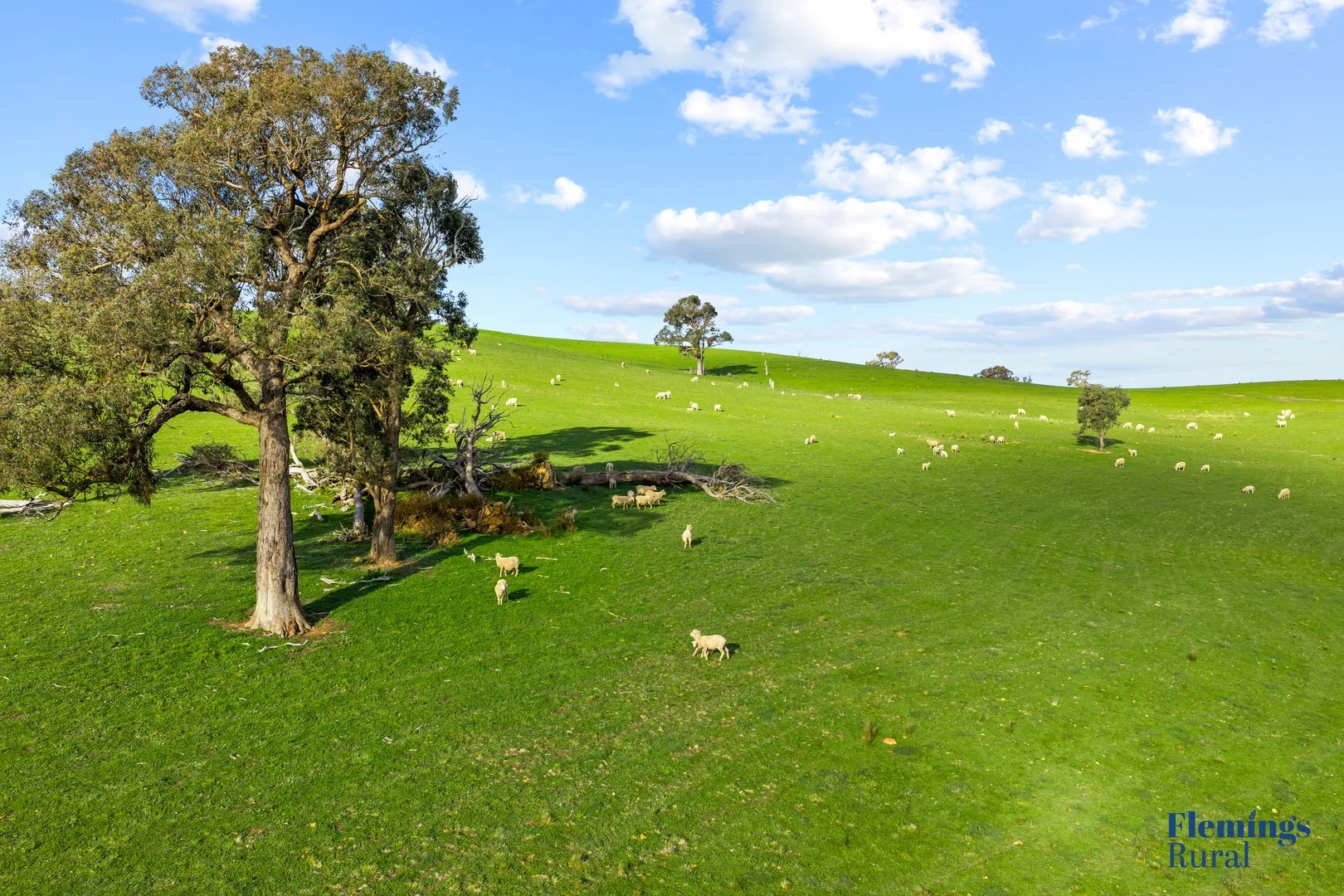 Additional image 3 of 890 Perks Road, Rugby NSW 2583