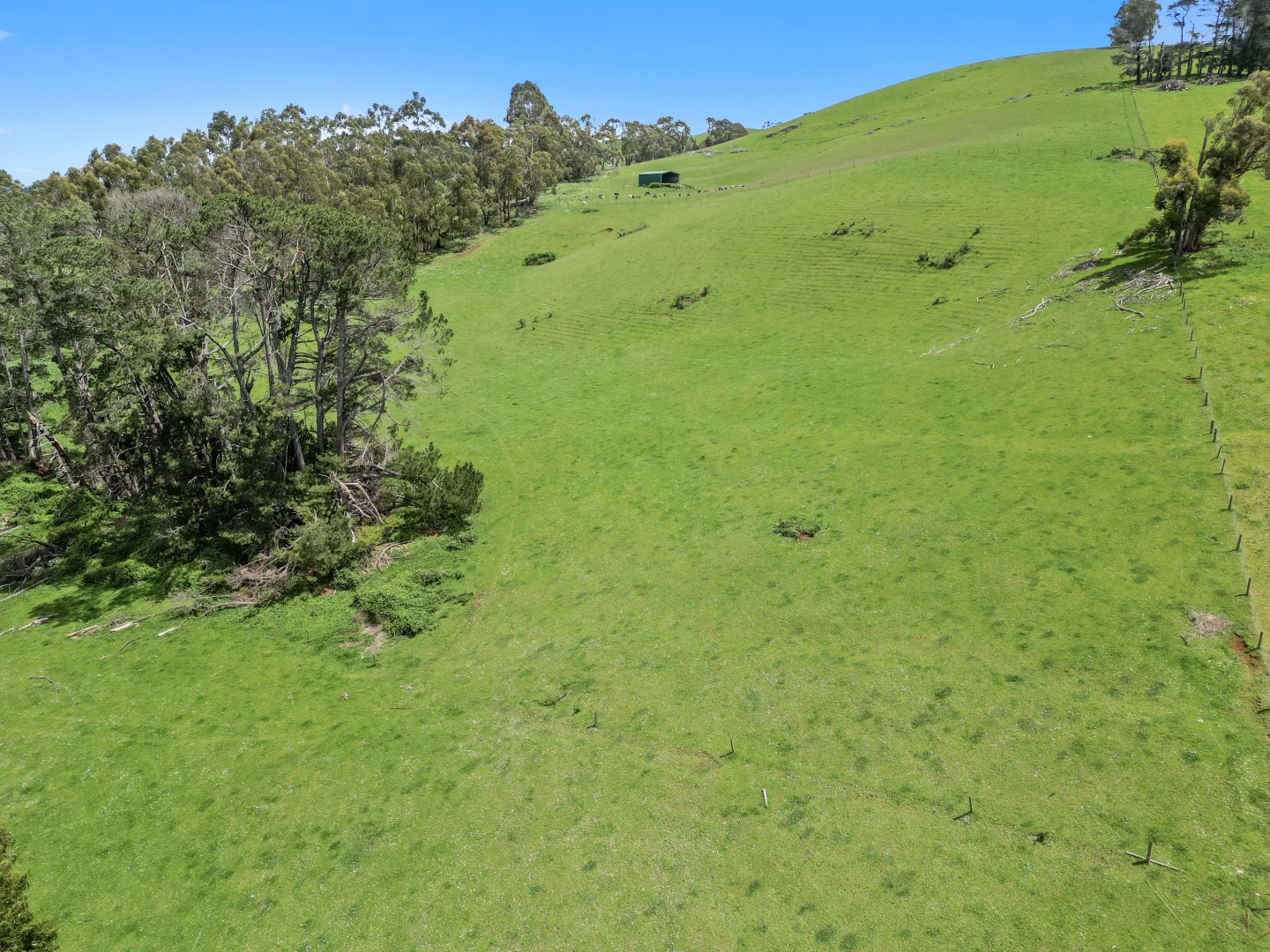 Additional image 11 of 581 Limonite Road, Boolarra VIC 3870