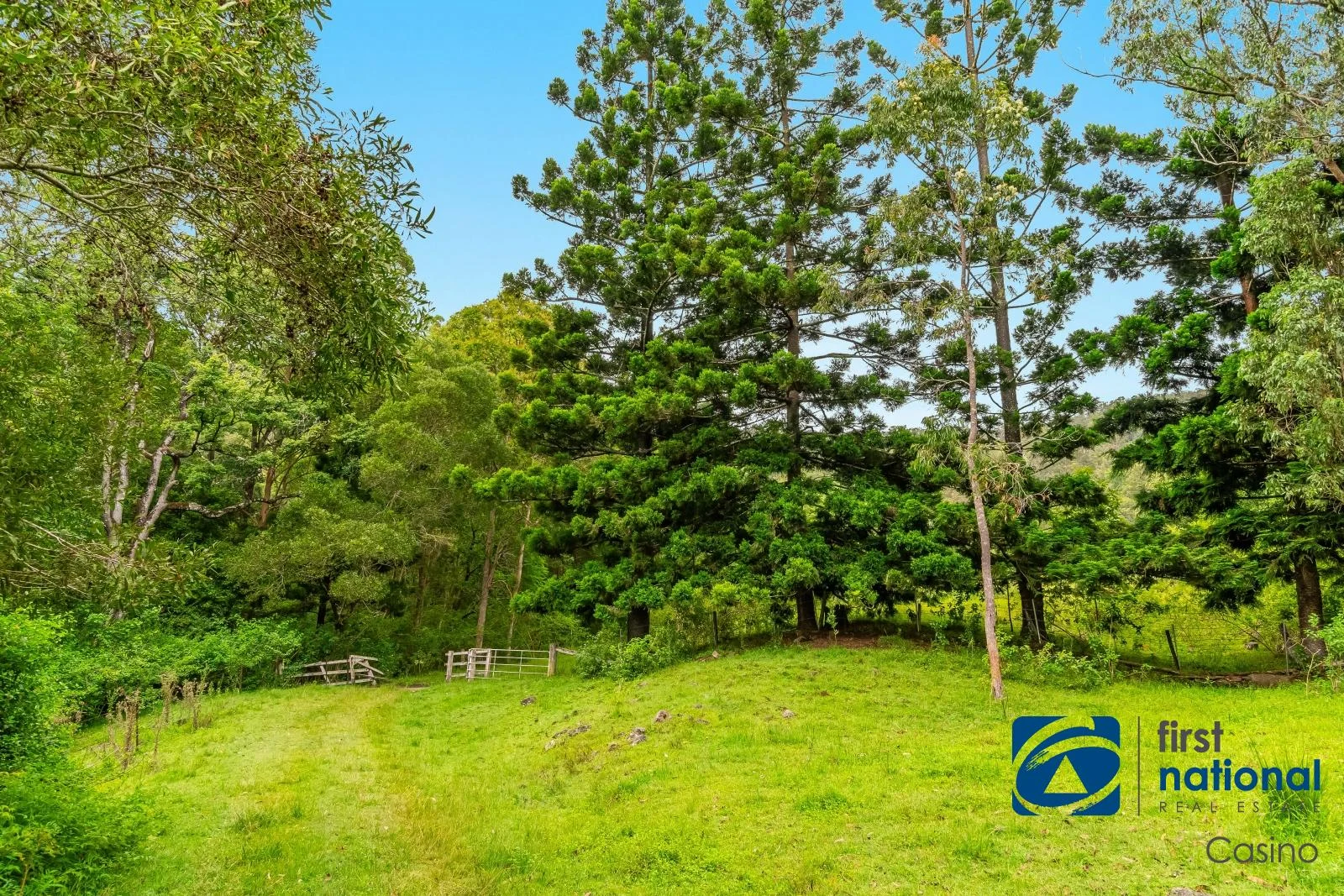 Additional image 15 of Lot 102 Duck Creek Road, Old Bonalbo NSW 2469