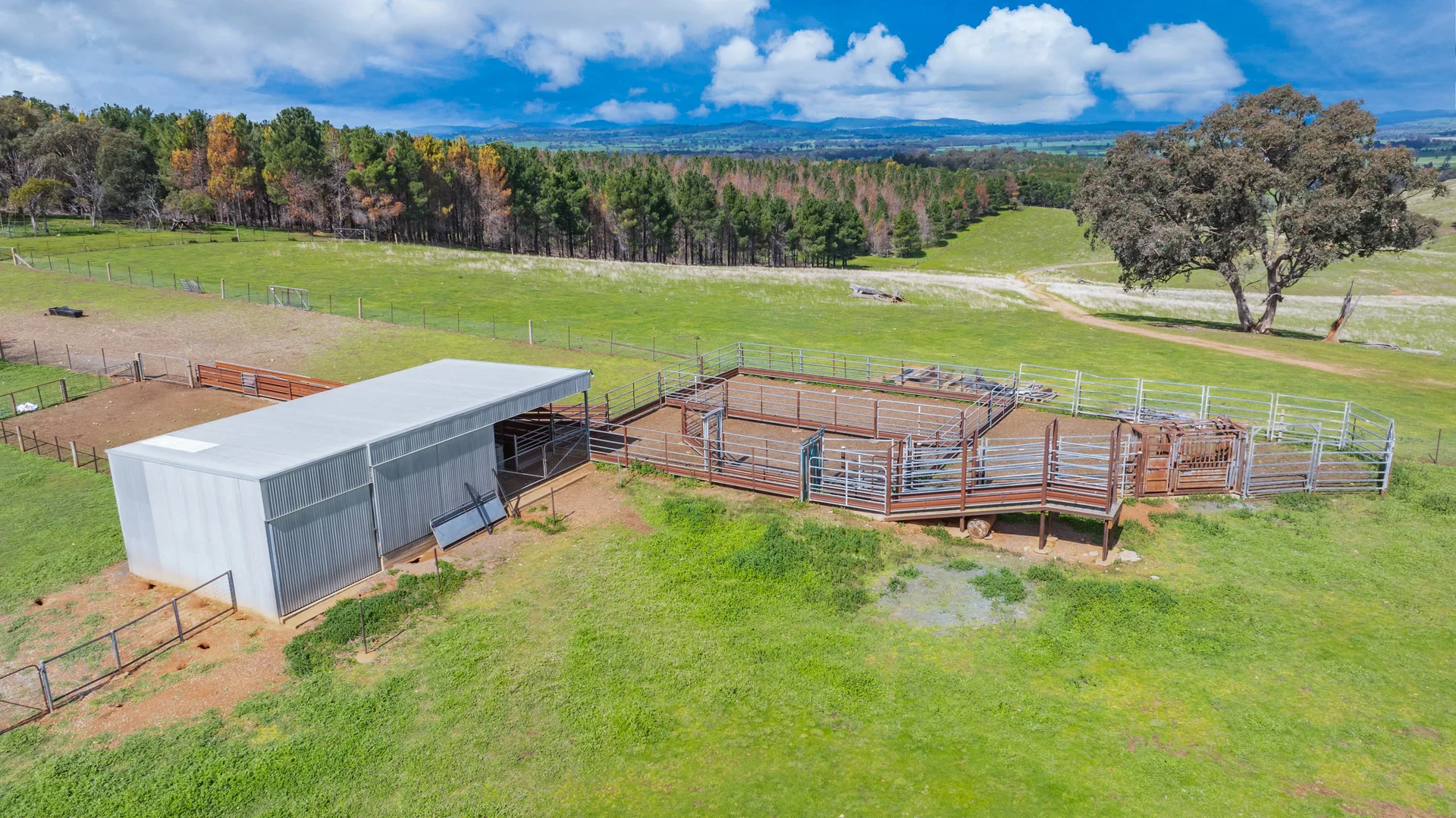 Additional image 9 of 1510 Culcairn Holbrook Road, Morven NSW 2660
