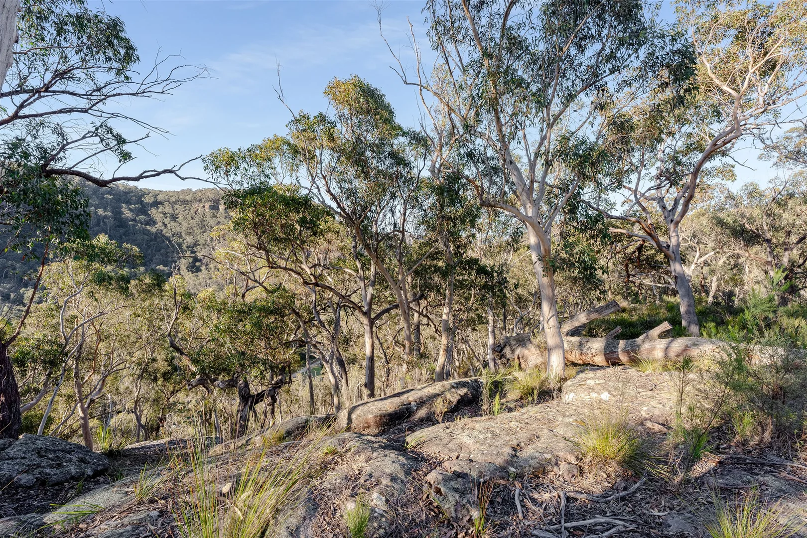 Additional image 35 of Belanglo NSW 2577