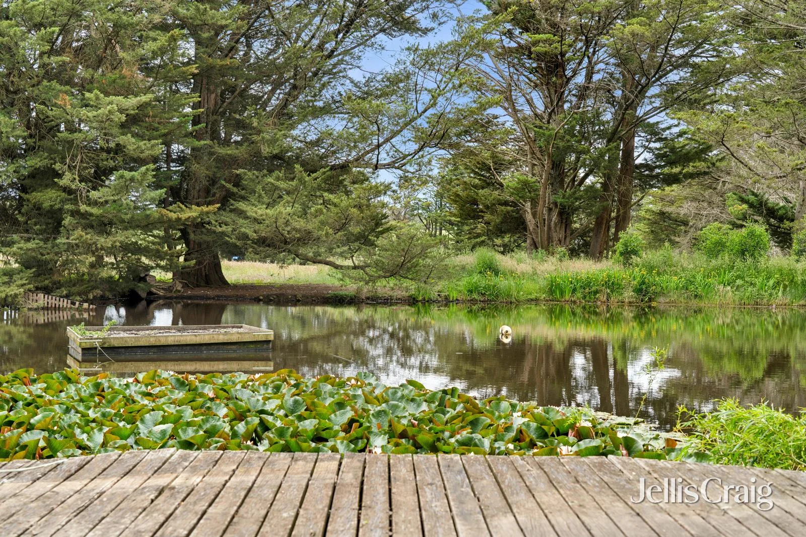 Additional image 27 of 13 Yendon Egerton Road, Yendon VIC 3352